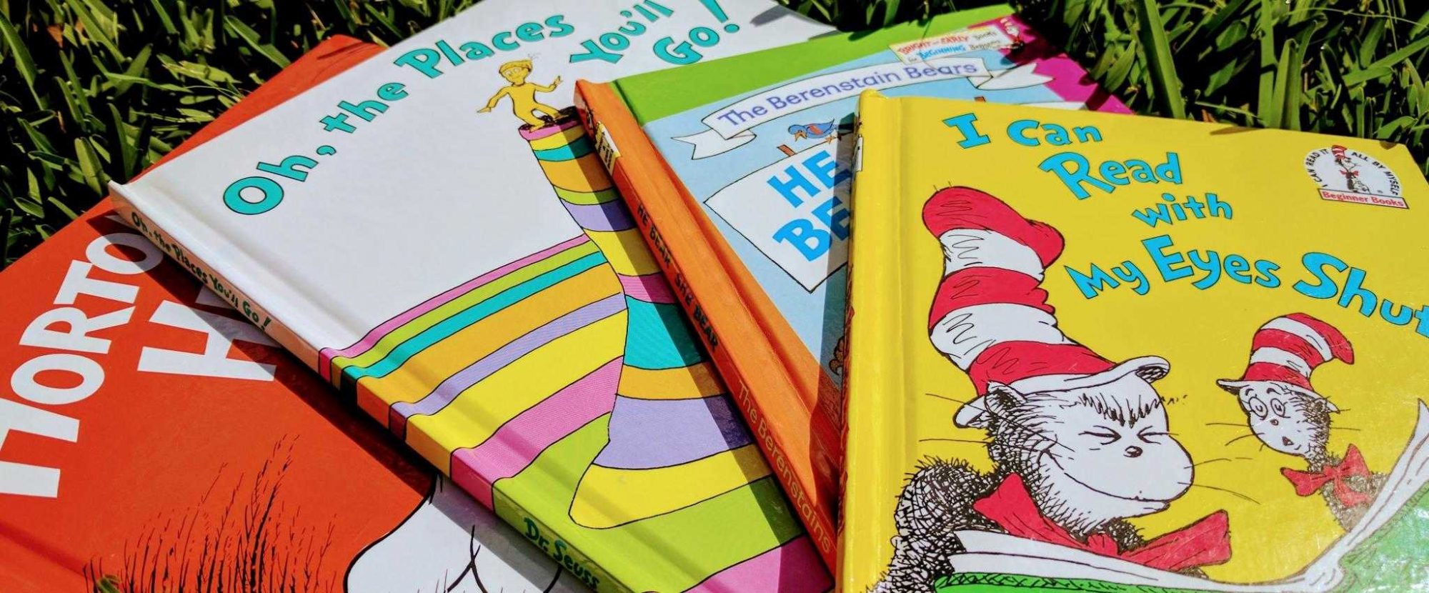 It’s a Dr. Seuss Birthday | Gift of Life Adoptions | Florida