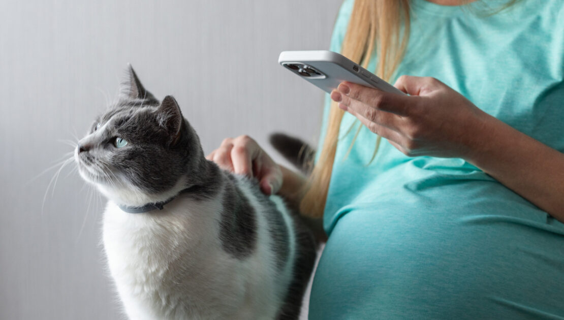 Contact an Adoption Agency