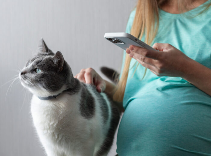 Contact an Adoption Agency